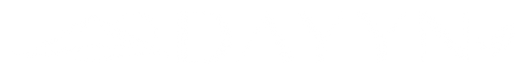 DAYYN horizontal white wordmark for dark footer